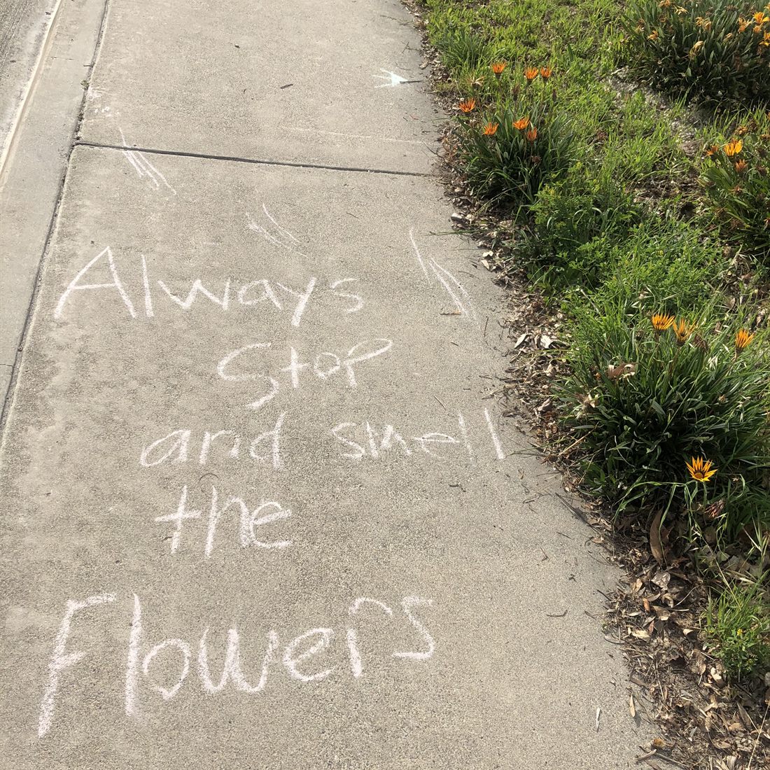 The words Always stop and smell the Flowers written in white chalk on a sidewalk next to a strip of orange wildflowers.